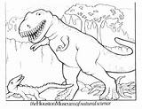Dinosaur Coloring Pages Kids Rex Printable Color Dinosaurs Print Trex Drawing Colouring Sheets Triceratops Carnotaurus Boys Cartoon Bestcoloringpagesforkids Raptor Valentine sketch template