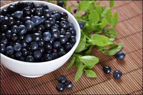 Fun Facts Of Blueberries Serving Joy