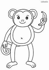 Affe Affen Banana Ausmalbild Ausmalen Ausmalbilder Banane Malvorlage Ausdrucken sketch template