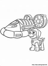Zuma Coloring Pages Patrol Paw Getcolorings sketch template