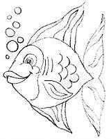 Peces Peixe Pintar Peixes Riscos Nadando Pez Animais Burbujas Tinkerbell Sheets Ausmalen Cuadro Fisch Miracle Timeless Qdb Pintarcolorear sketch template