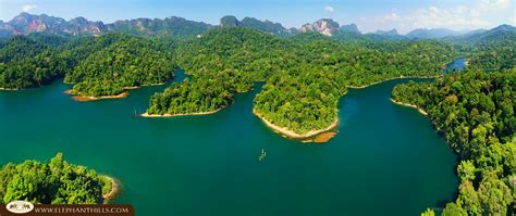 top  reasons  visit khao sok national park thailand