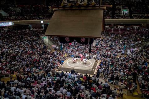 japanese sumo wrestling