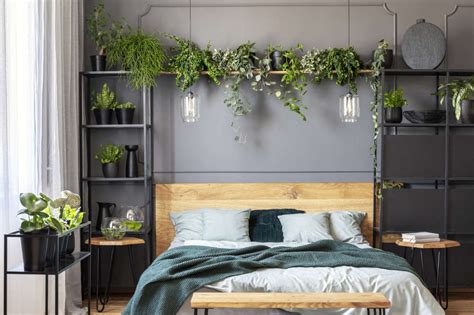 feng shui      placing plants  bedroom