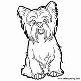 Yorkie Coloring Pages Line Printable Poo Dog Drawing Kids Adults Clipartmag Sketch Template sketch template