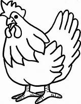 Chicken Coloring Draw Clipart sketch template