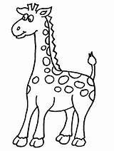 Coloring Pages Giraffes Giraffe Color Printable Kids Animal Print Cute Book sketch template