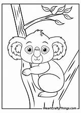 Koala Koalas Iheartcraftythings Furry Preparing Possibly sketch template