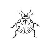Coloring Pages Primarygames Bug Insect Click Directions Above sketch template