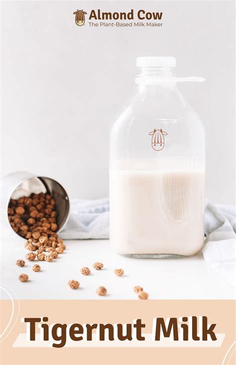 tiger nut milk recipe how to make tiger nut milk in 2021 milk