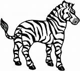 Zebra Pages Coloring Printable Without Getcolorings sketch template