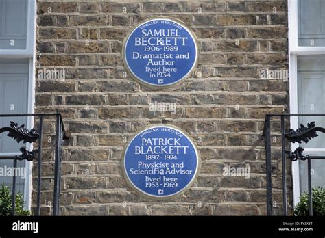 blue plaques  chelsea london england marking homes  scientist