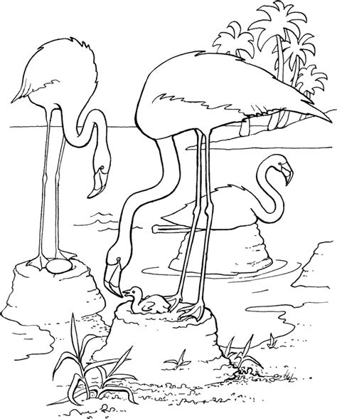 flamingo coloring pages printable