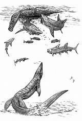 Mosasaurus Mosasaur Prehistoric Dewlap Fc04 Sharks Indominus sketch template