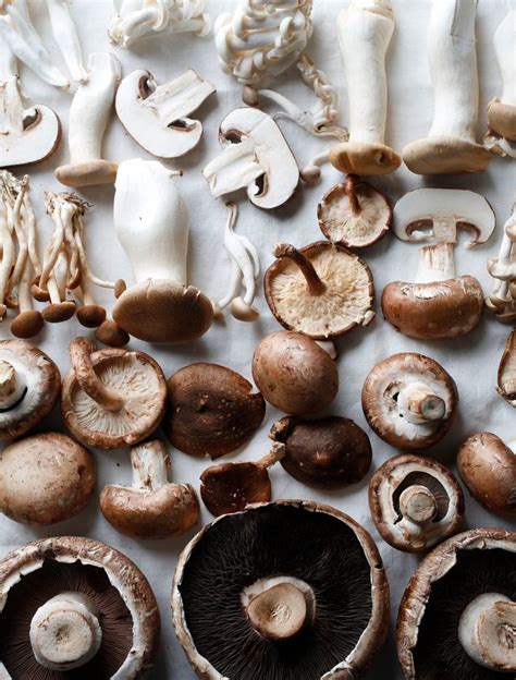 3 recipes that will make the most of the amazing mushroom
