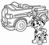 Coloring Patrol Rocky Paw Pages Popular sketch template
