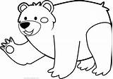 Colorir Ursos Imprimir Urso Orso Ursinho Atividades Stampare sketch template