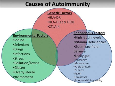 causes and treatments of hashimoto s dr michael ruscio dc