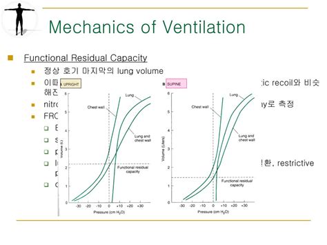 ppt ch 22 respiratory physiology the effects of