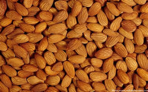 interesting facts  almonds  fun facts