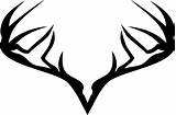 Hunting Duck Antlers Antler Incorporate Elk Svg Moose Cool Blind Nicepng Tailed Hunters Webstockreview Clipartkey Pngfind 176kb sketch template