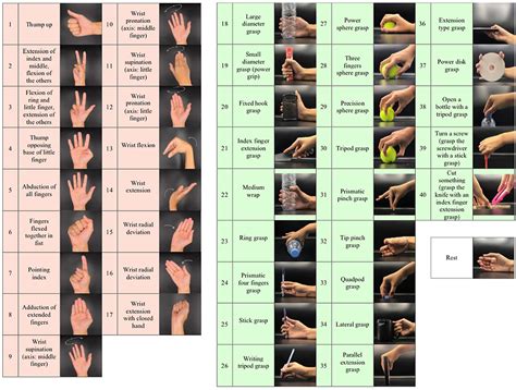 frontiers classification  hand  wrist movements  surface