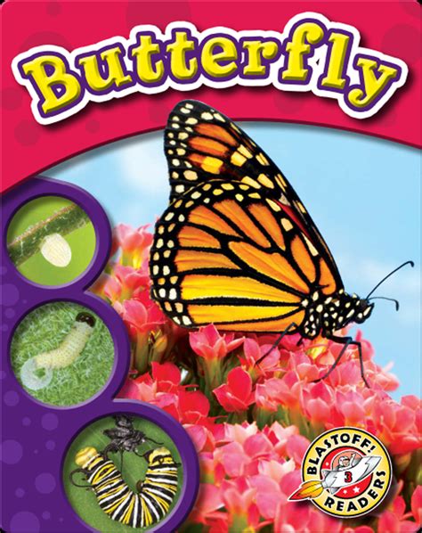 life cycle   butterfly childrens book  colleen sexton