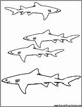 Shark Coloring Lemon Pages Getcolorings Fun sketch template