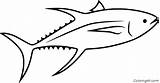 Tuna Bluefin Skipjack Coloringall sketch template