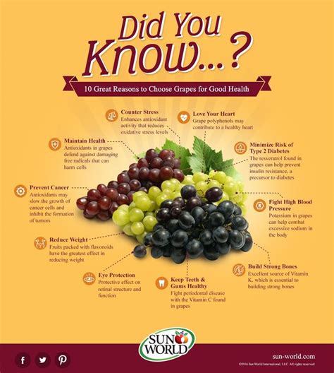 health benefits  grapes infographic sun world grapes benefits