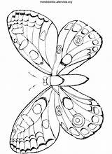 Colorare Farfalle Disegni sketch template