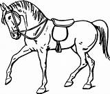 Horse Coloring Clip Pages Easy Kids Horses Outline Hdimagelib sketch template