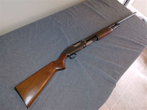 sold winchester mdl  solid rib trapshooters forum