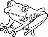Frog Coloring Wecoloringpage Spread sketch template