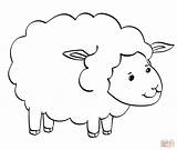 Coloring Sheep Pages Cute Printable Lamb Drawing Paper sketch template
