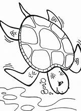 Turtle Coloring Sea Pages Printable Diver Color Deep Coloring4free Box Cartoon Colouring Turtles Getcolorings Print Printables Drawing Getdrawings Adults Se sketch template
