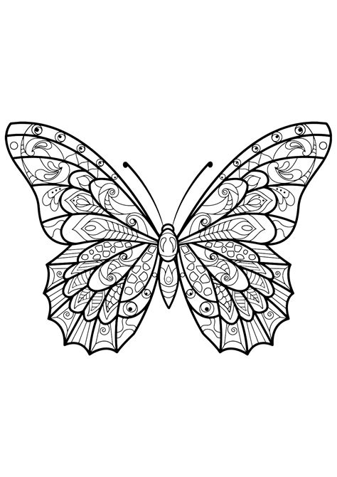 butterfly beautiful patterns  butterflies insects adult coloring