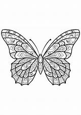 Butterfly Beautiful Coloring Patterns Pages Insects Adult Butterflies Adults Printable sketch template