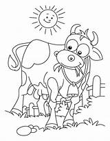 Cow Dairy Coloring Pages Meadow Netart Outline sketch template