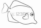Tang Yellow Outline Fish Getdrawings Drawing sketch template