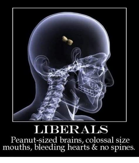 typical libtard xd rcomedycemetery