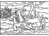 Crocodile Krokodil Ausmalbild Alligator Kleurplaten Colorier sketch template
