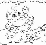 Crab Starfish Twelve sketch template