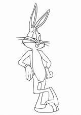 Looney Tunes sketch template