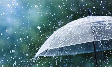 light rains  expected  andhra pradesh  today  tomorrow
