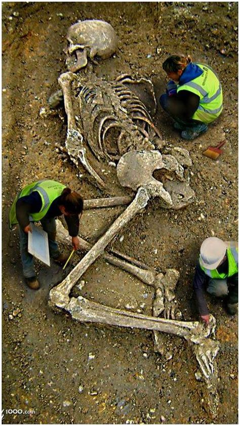 giant skeletons smokehoax giant skeleton nephilim giants ancient mysteries