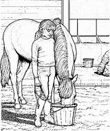Coloring Topkleurplaat Paarden Horses Cavalos Hard Bordar Colorear Drus sketch template