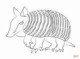 Coloring Armadillo Pages Armadilo Printable Color Clipart Drawing Nine Banded Supercoloring Silhouettes Texas sketch template