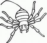 Spider Coloring Pages Printable Widow Kids Clipart Gif Bestcoloringpagesforkids sketch template