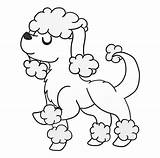 Poodle Clipart Printable Library Coloring sketch template